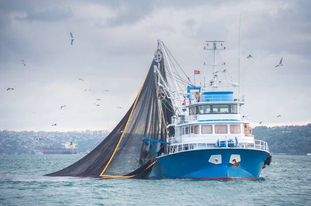 الصيد الصناعي والكركند والأسماك وسفن المصانع وصناعة الصيد